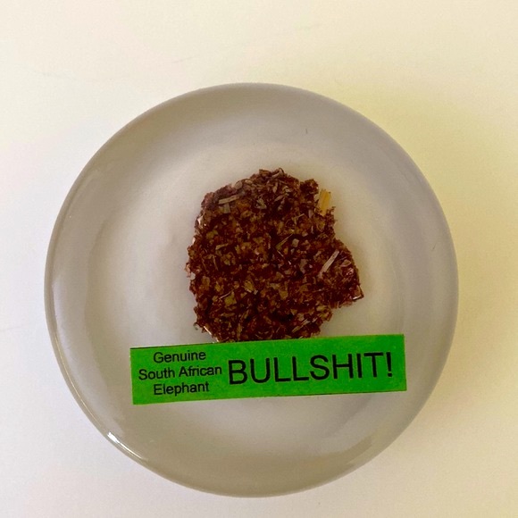 Genuine South Africa Elephant Bullshit Dung Poop Paperweight Unique Gag Fun Gift - Picture 7 of 8